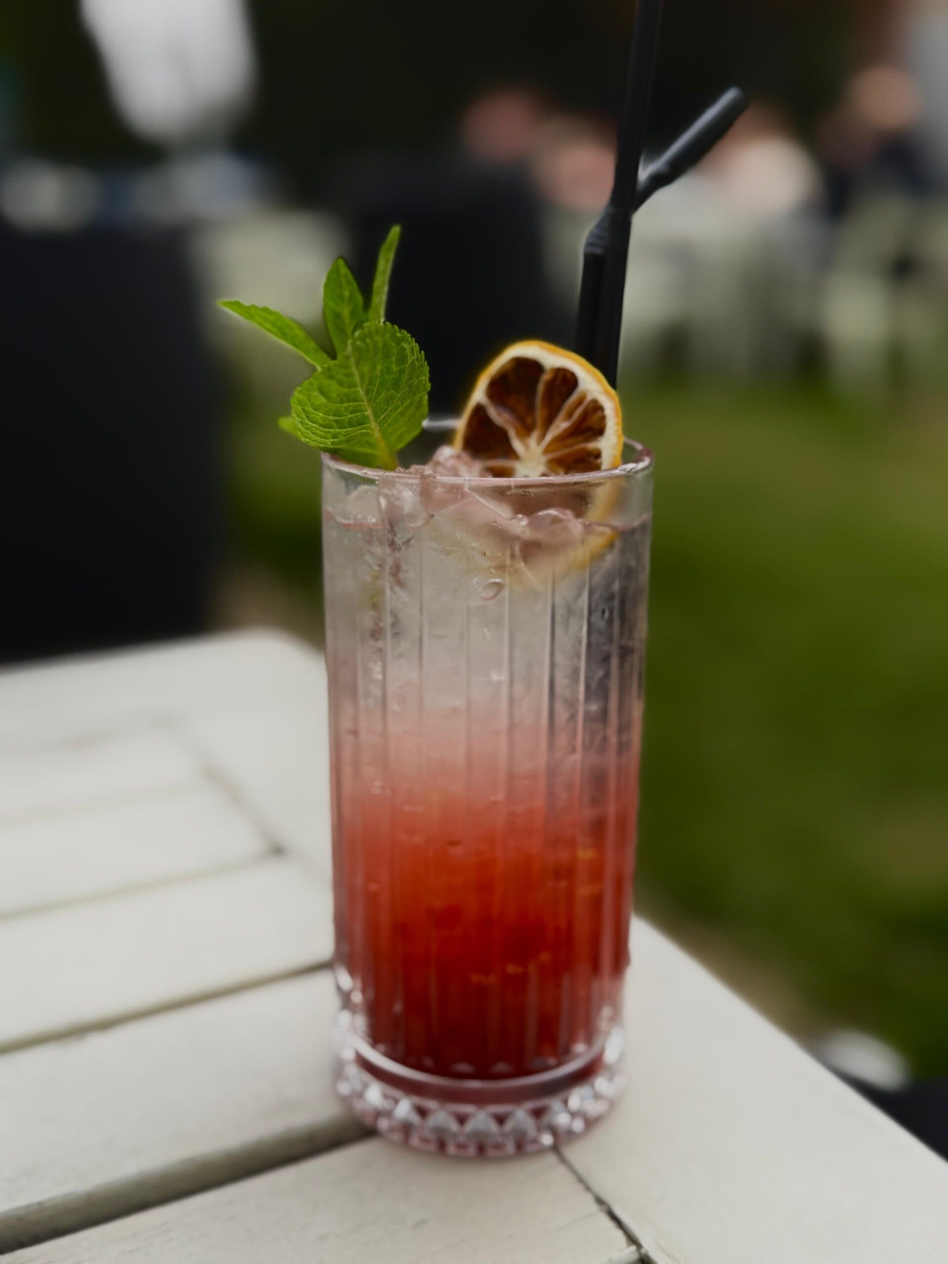 Cocktail cu mentă și felie de citrice deshidratată, servit în grădină
